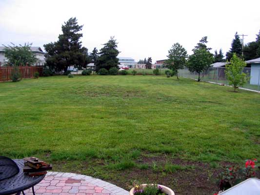 Yard before....